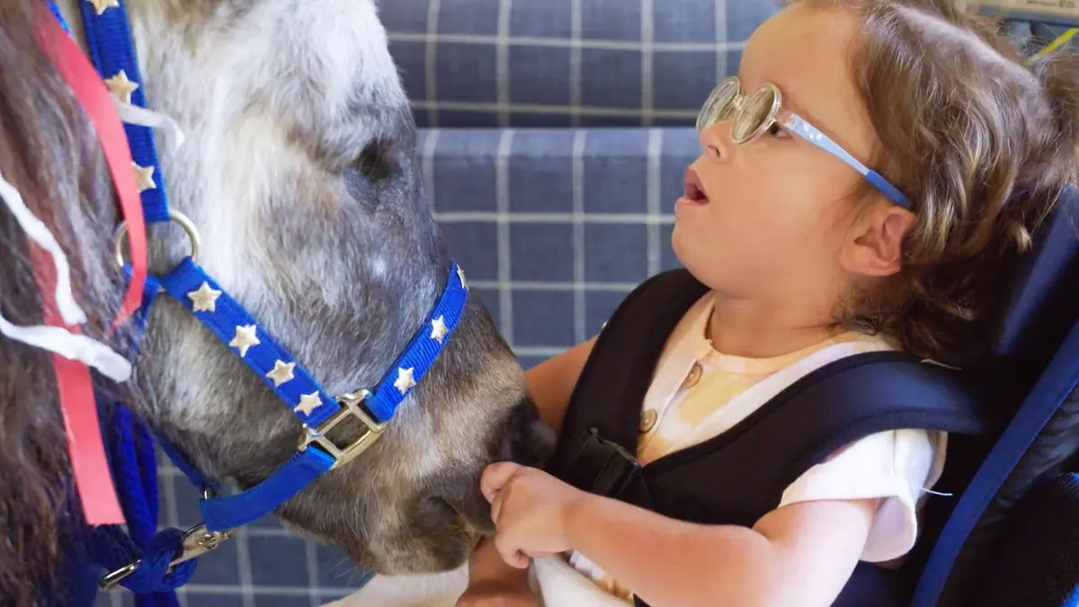 SonRise Equestrian Foundation 2022