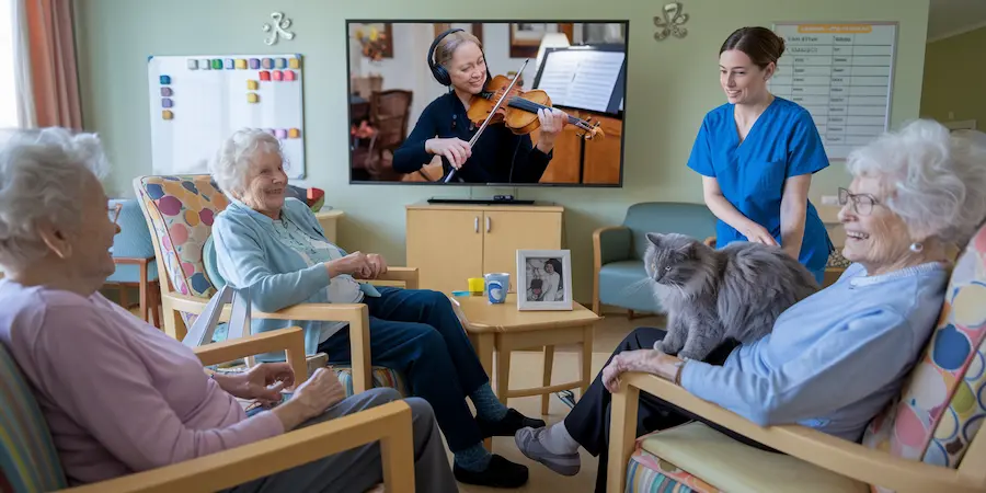 Kitties like to howl during musical visits1
